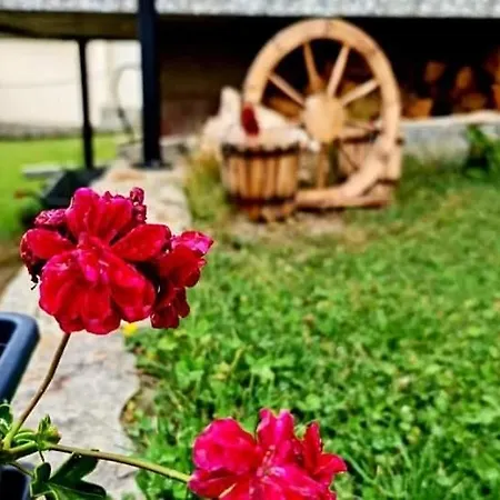 пауновата къща *