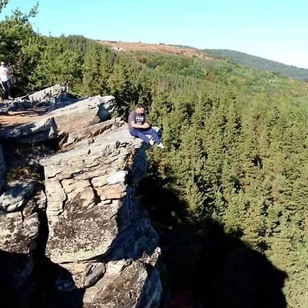 빌라 пауновата къща